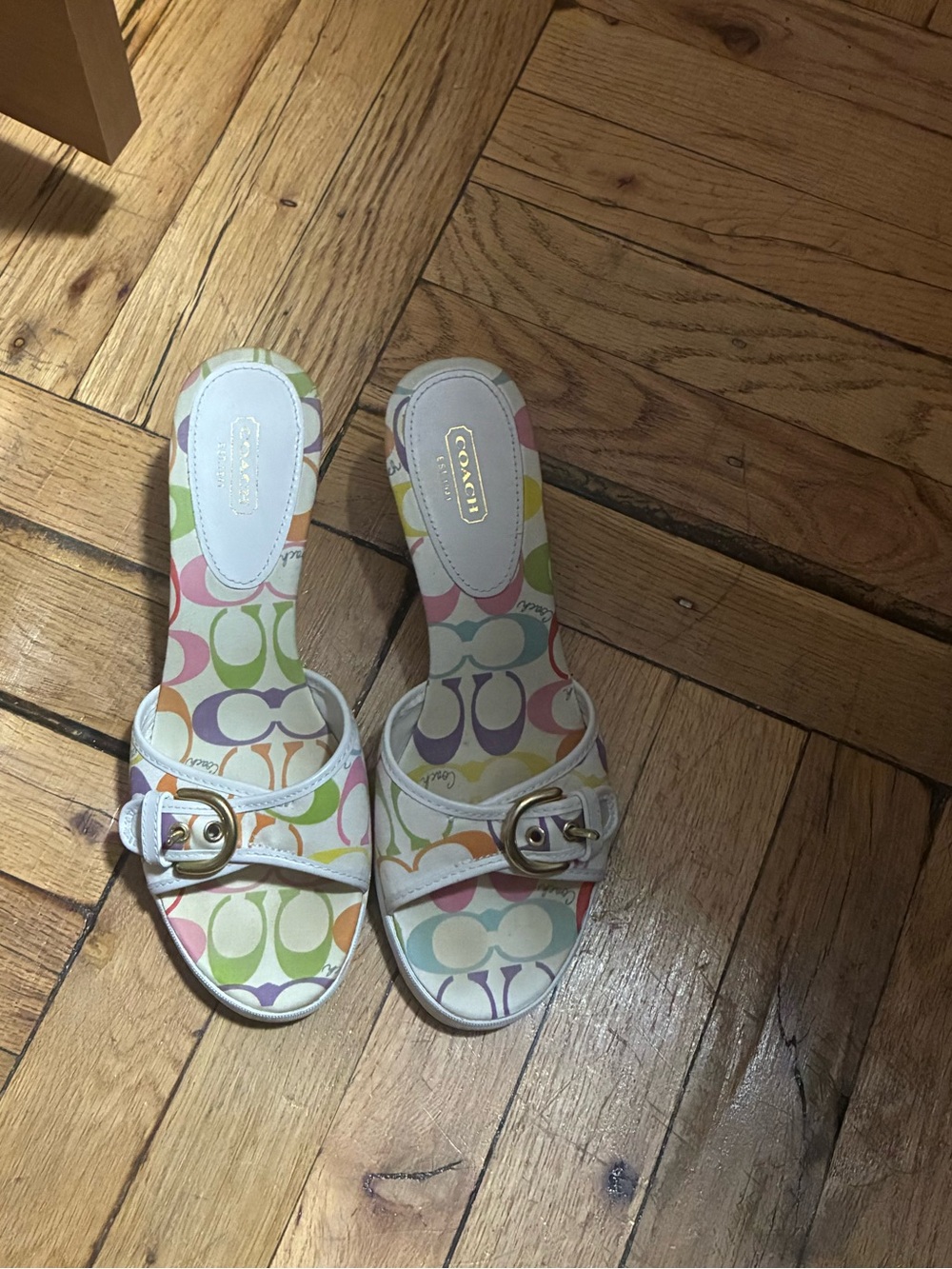 Coach Kids Multicolor Signature Logo Slide Sandals with Gold Buckle